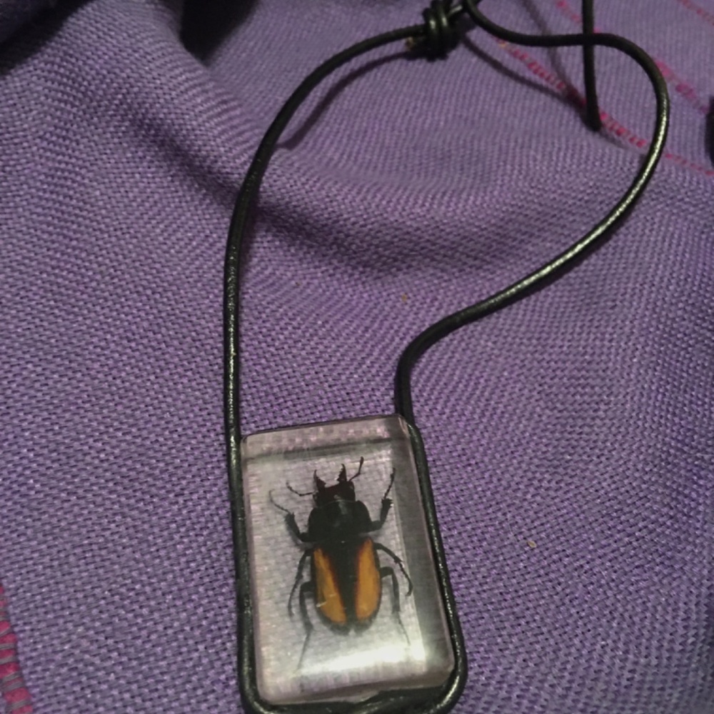 SALE! Leather-wrapped Large Biting Beetle in Lucite - Necklace. Intense. OOAK